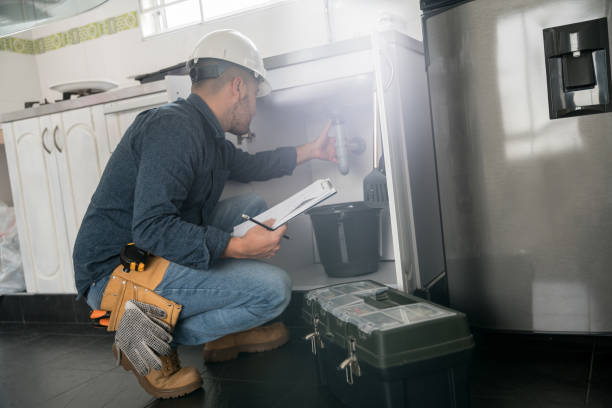 Best Plumbing Services Near Me  in Hector, MN