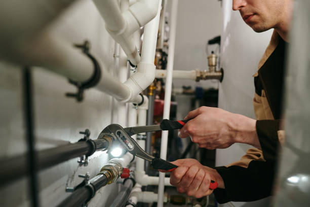 Best Hot Water Heater Installation  in Hector, MN