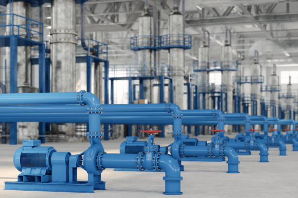 Best Local Plumber Services  in Hector, MN