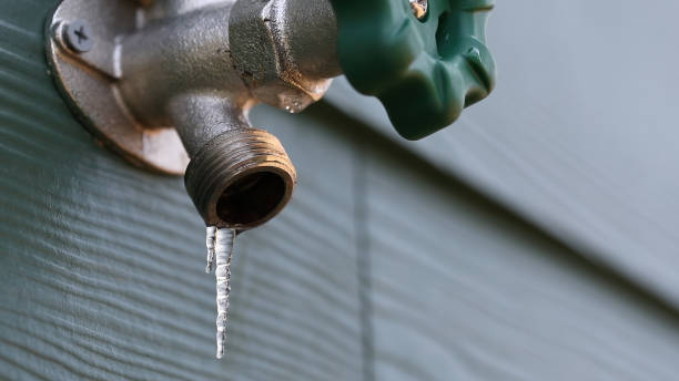Best Sewer Line Repair  in Hector, MN