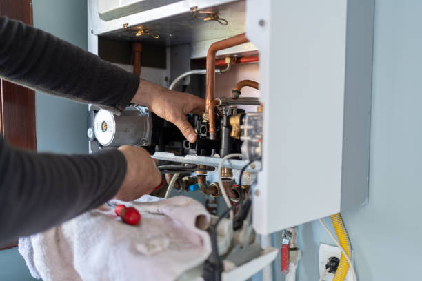 Best Toilet Repair Services  in Hector, MN