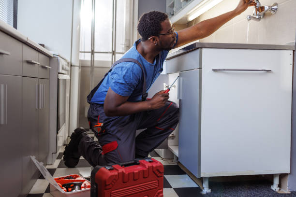  Hector, MN Plumbing Pros