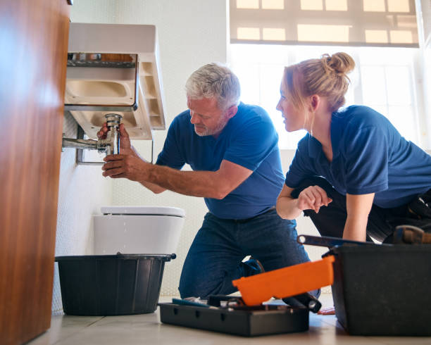 Best Sewer Cleaning Services  in Hector, MN