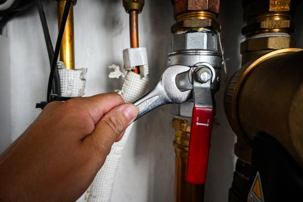 Best Best Plumbers Near Me  in Hector, MN